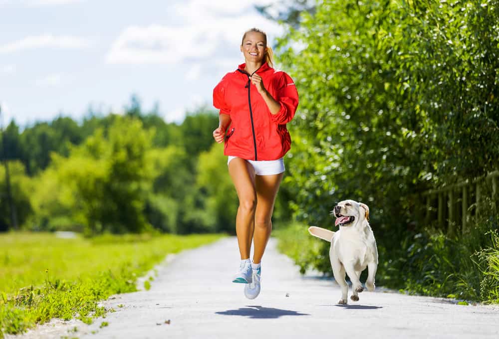 deporte para perros