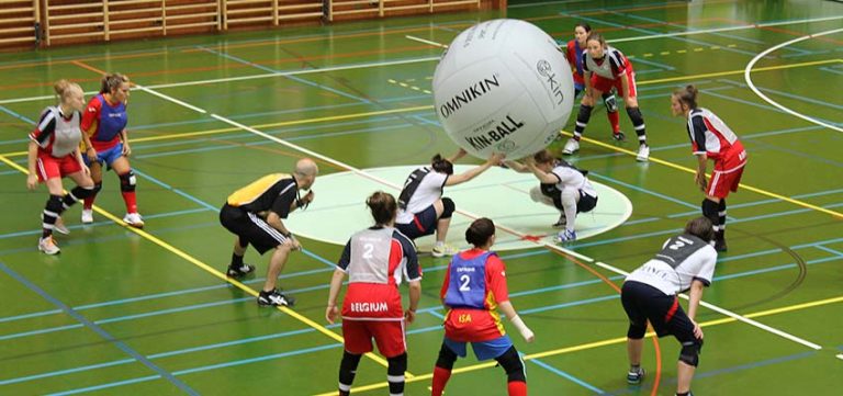 kin ball