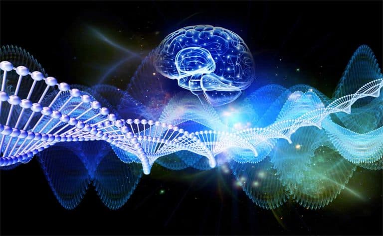 ciencia