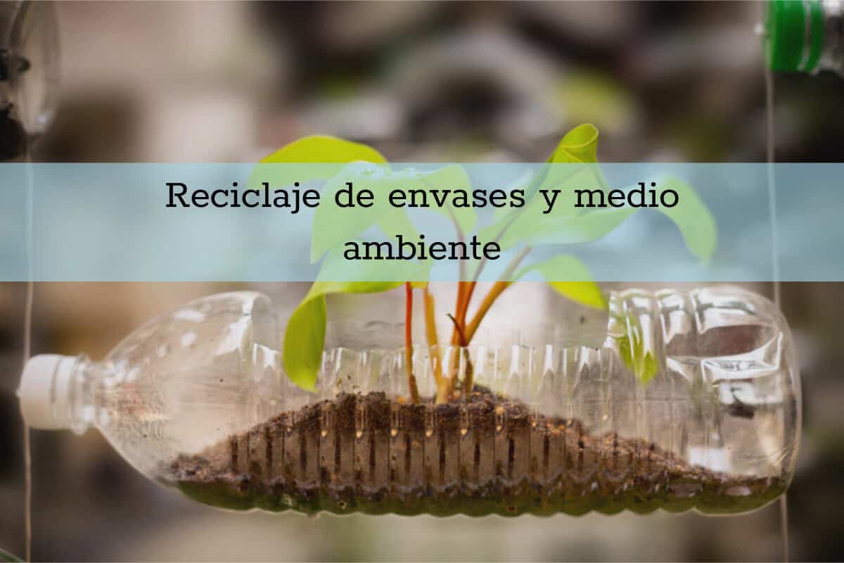 reciclaje envases medio ambiente