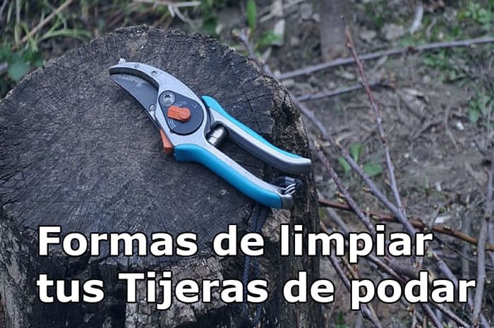 formas de limpiar tus tijeras de podar