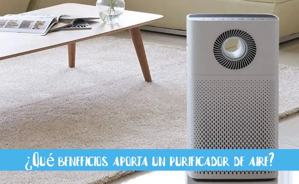 ¿Qué beneficios aporta un purificador de aire?