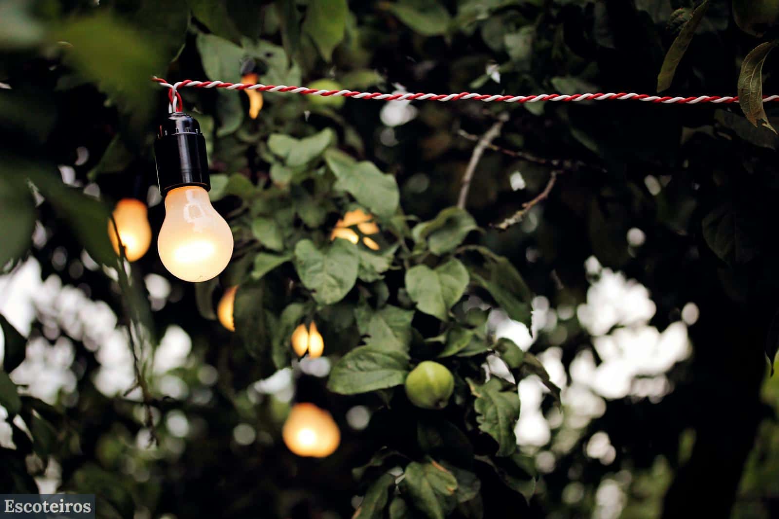guirnalda de luces
