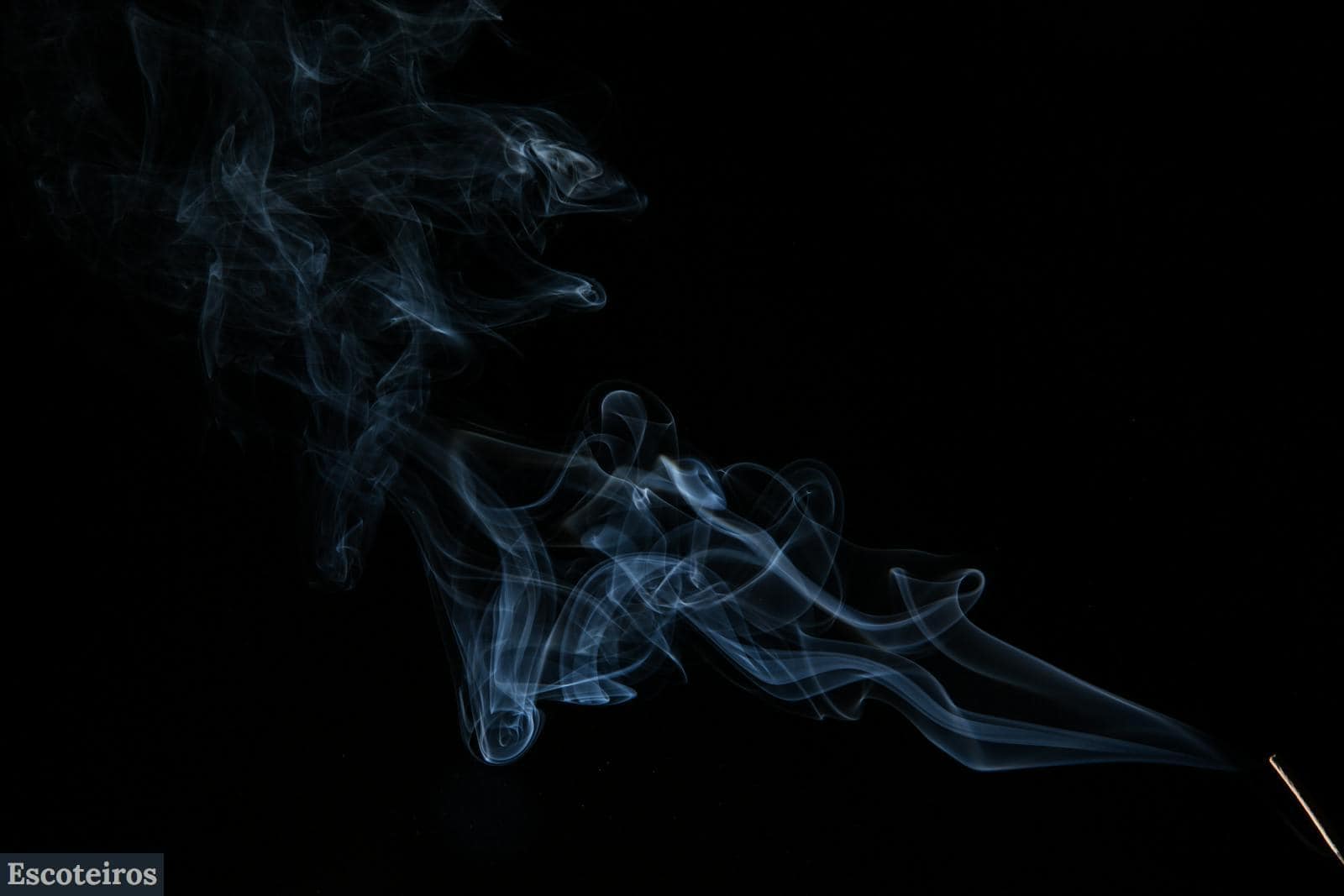 humo