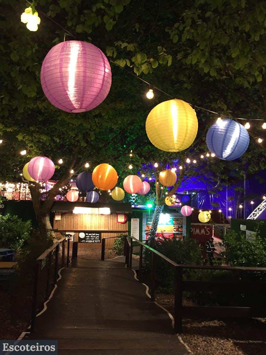 jardin con luces