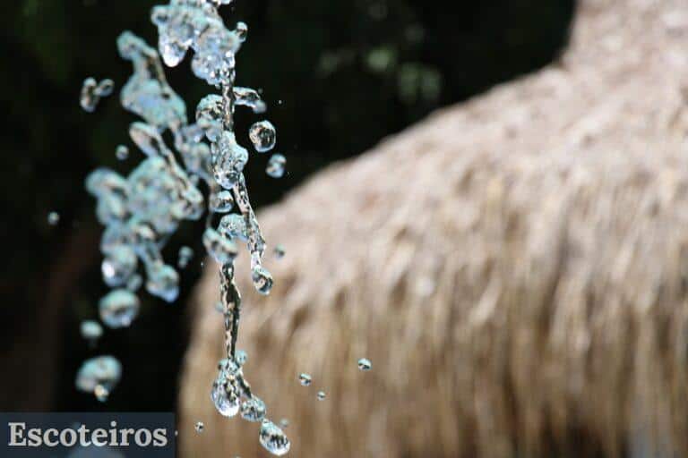 naturaleza