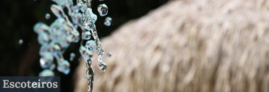naturaleza