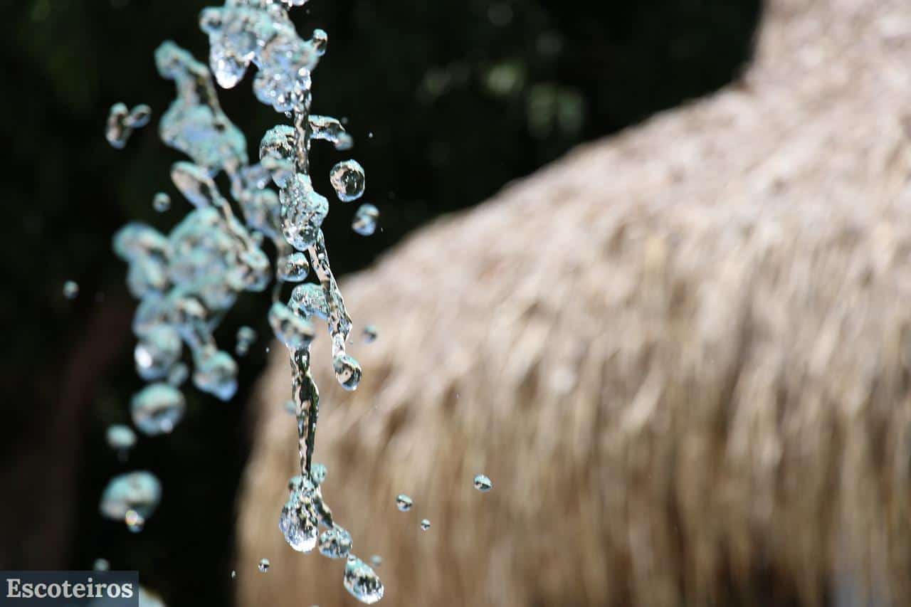 naturaleza
