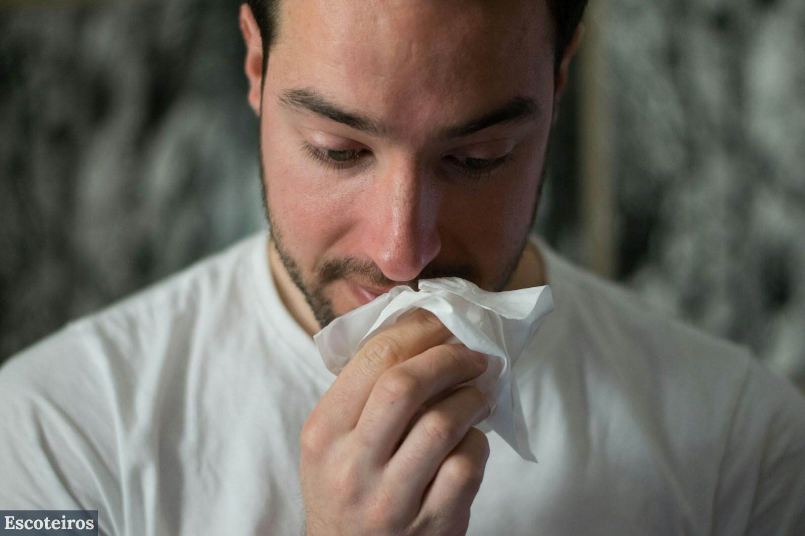Alergias y polvo: entiende el impacto de la limpieza en tu salud