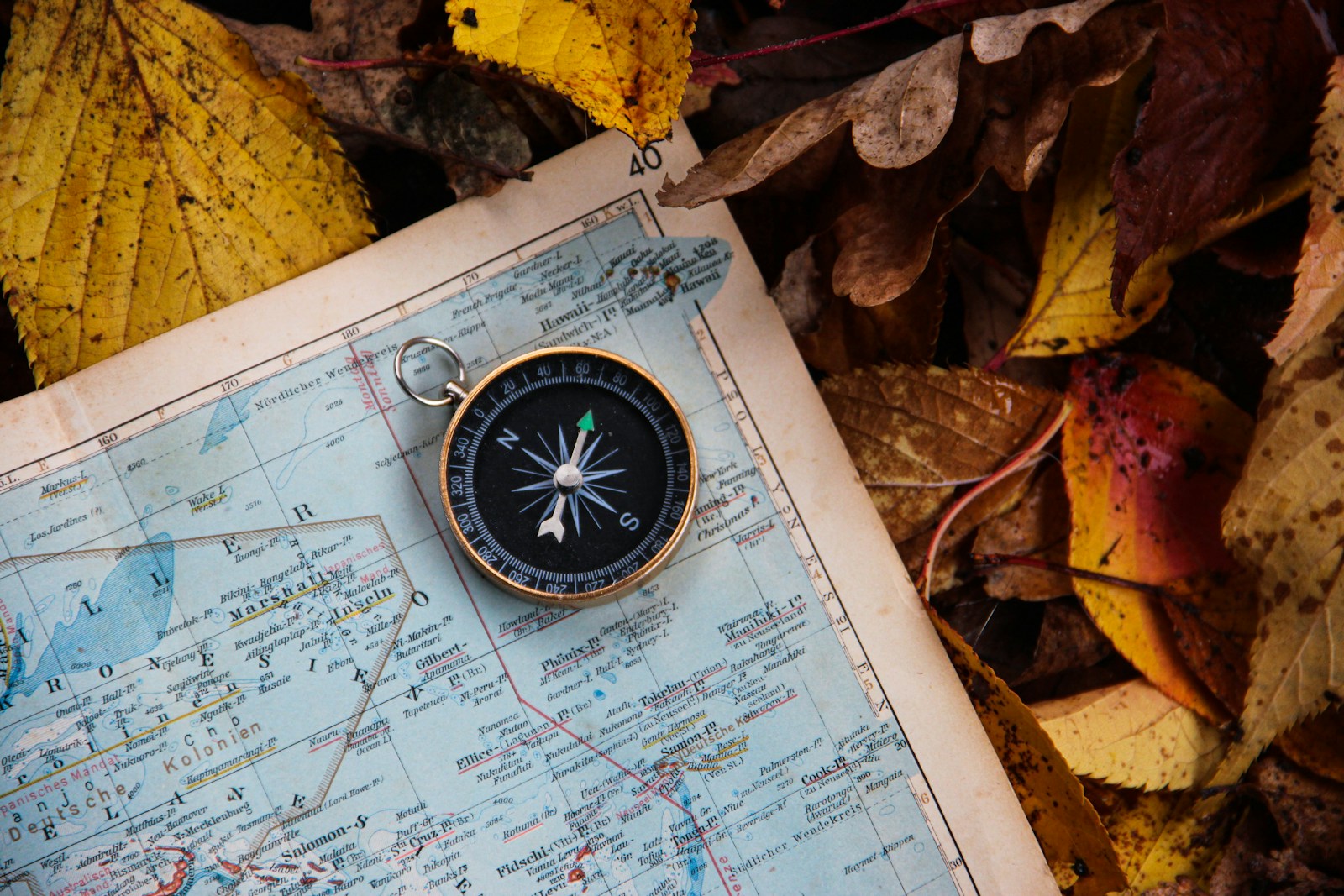 Mapa y brújula sobre hojas secas de otoño